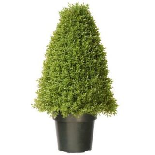 National Tree Company 30 in. Boxwood Tree with Dark Green Growers Pot with 50 Clear Lights LBX4 300 30