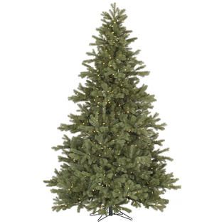 Vickerman 6.5 x 51 Frasier Fir Tree with 500 Warm White LED Lights