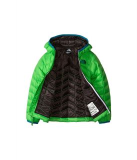 The North Face Kids Thermoball Hoodie Toddler Krypton Green, Clothing, Green, The North