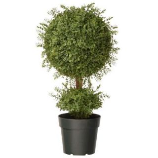 National Tree Company 30 in. Mini Tea Leaf 1 Ball Topiary in Green Round Growers Pot LTLM4 705 30