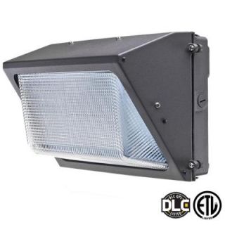 Axis LED Lighting 28 Watt Bronze 5000K LED Outdoor Wall Pack with Glass Refractor Natural White AEP28WPDS